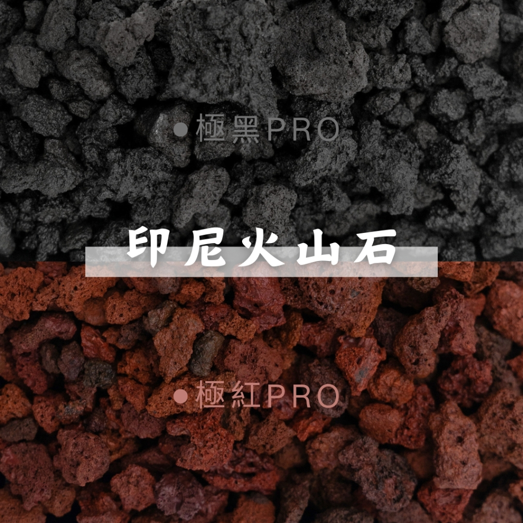 【欣榮二館免運快速出貨】特A級印尼火山石 黑火山石 紅火山石 白火山石 火山石 土耳其白火 舖面 水族過濾 多肉土 多肉 | 蝦皮購物