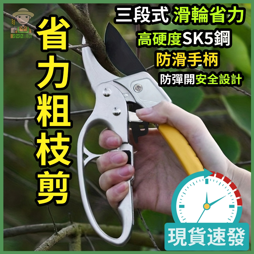 【現貨速發】省力粗枝剪 園藝護手果枝剪 樹剪 花藝剪 樹枝剪 園藝剪 滑輪省力剪 省力剪 果樹剪 多功能修枝剪 剪枝剪 | 蝦皮購物