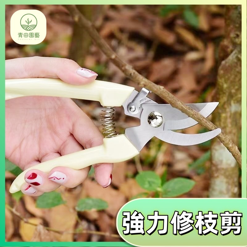 農用剪刀 樹枝剪 修枝剪 花木剪刀 園林 花藝果樹剪 花枝剪刀 摘果剪 高枝剪 粗枝剪刀 修花剪刀 果樹剪 園藝剪 | 蝦皮購物