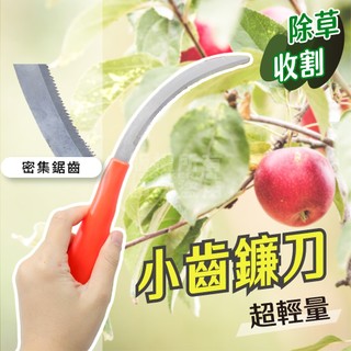 密齒鐮刀 小彎刀 小齒鐮刀 「工具仁」香蕉刀 採收刀 農場 除草 採果刀 波蘿刀 鋸齒鐮刀 園藝 | 蝦皮購物