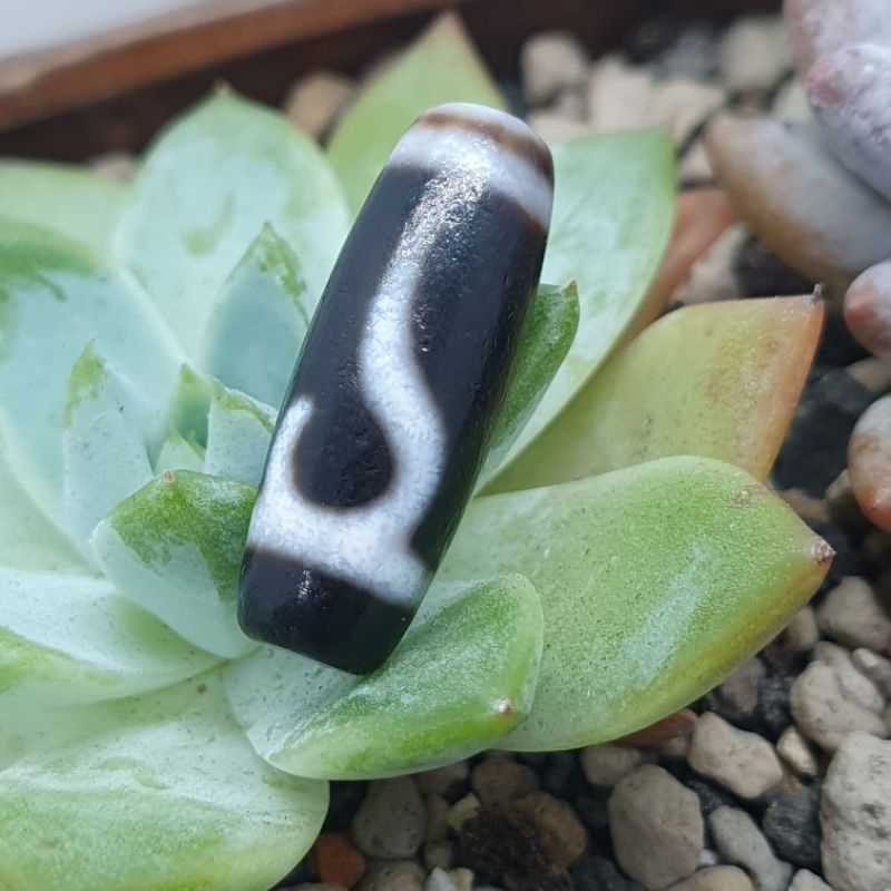 DZ1126A水紋，蓮花。寶瓶，金鋼2眼菩提，如意，虎牙兩眼，天地，特殊3