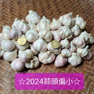 2024雲林黑葉蒜頭 大蒜 蒜球 蒜米 蒜瓣＜全乾＞ 一斤(600公克)