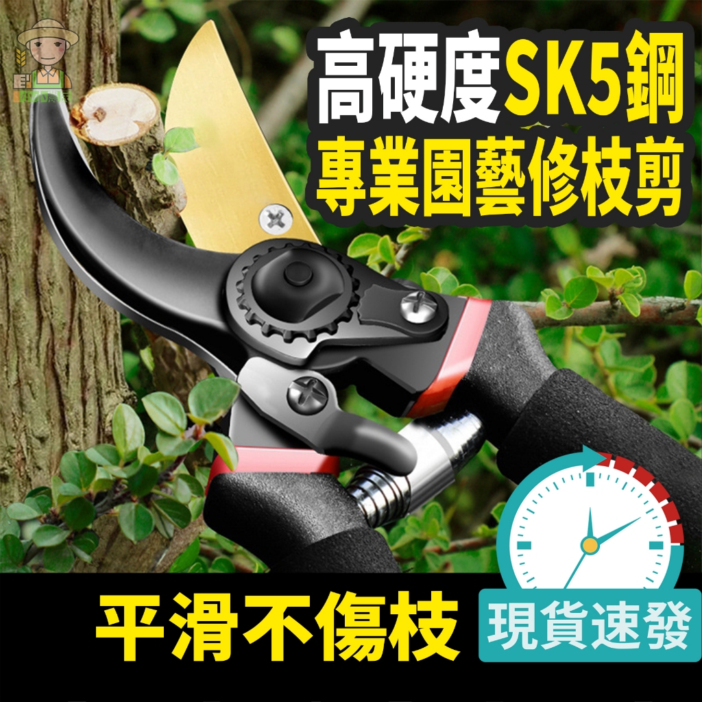 【現貨速發】粗枝剪 SK5園藝剪 修枝剪 果樹剪 園藝剪刀 樹枝剪 強力園藝修枝剪 花枝剪 修樹枝剪刀 樹枝剪刀 剪枝剪 | 蝦皮購物