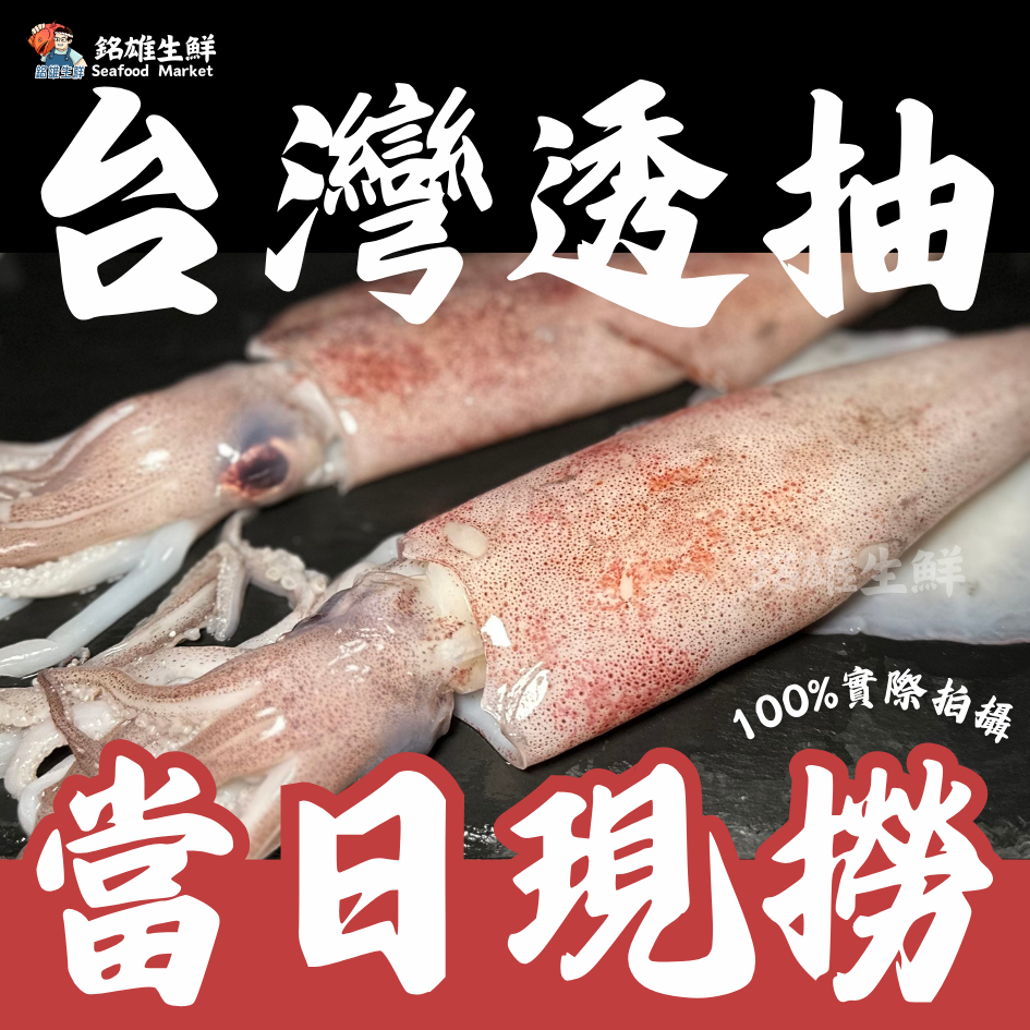 【銘雄生鮮】現撈野生台灣透抽 一尾200g 季節限定 東北港透抽 野生透抽 透抽 中卷 野生中卷 砲管 | 蝦皮購物