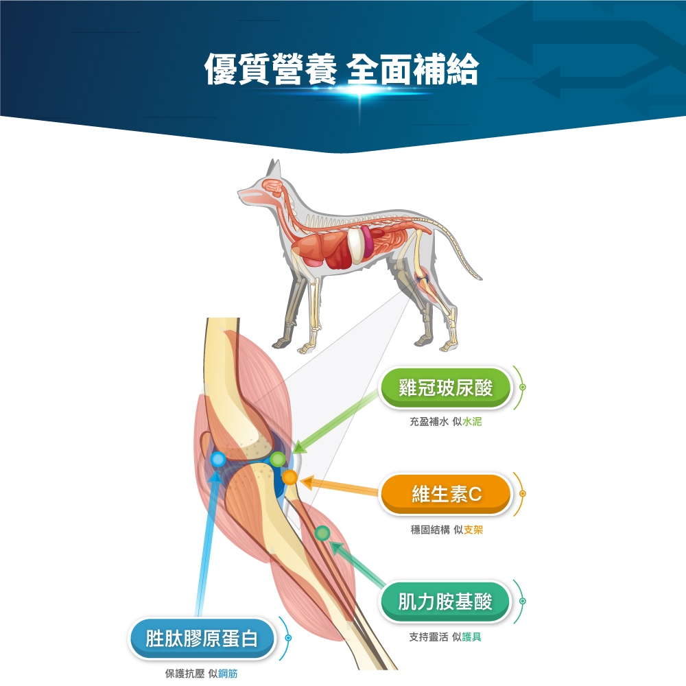 Product image 【木入森】犬寶有關膝 (60顆)｜狗狗關節保健食品｜胜肽膠原蛋白 玫瑰果萃取｜給予狗關節保護力 9