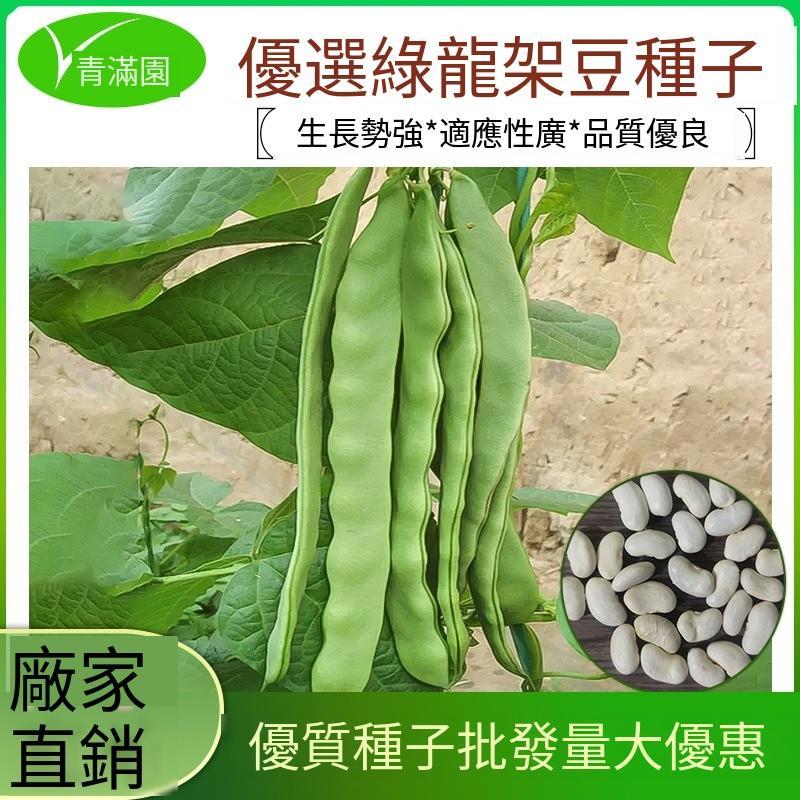 （買五送一）包裝種子 四季種植 易種植 綠龍架豆王包裝種子庭院種植 綠龍架豆王種子扁芸豆無筋四季油豆角架扁豆子架豆角種籽 | 蝦皮購物
