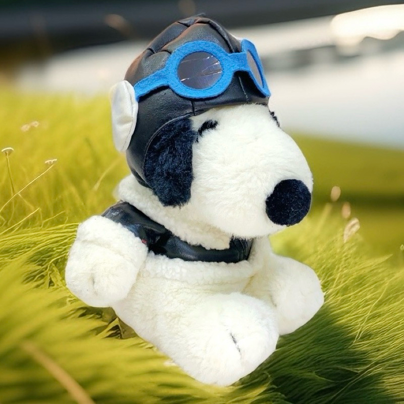 ‼️絕版‼️早期 snoopy 史努比飛行員 音樂玩具 卡通狗 居家擺飾 玩偶 布偶 絨毛娃娃 填充玩具 收藏品 老玩具 | 蝦皮購物
