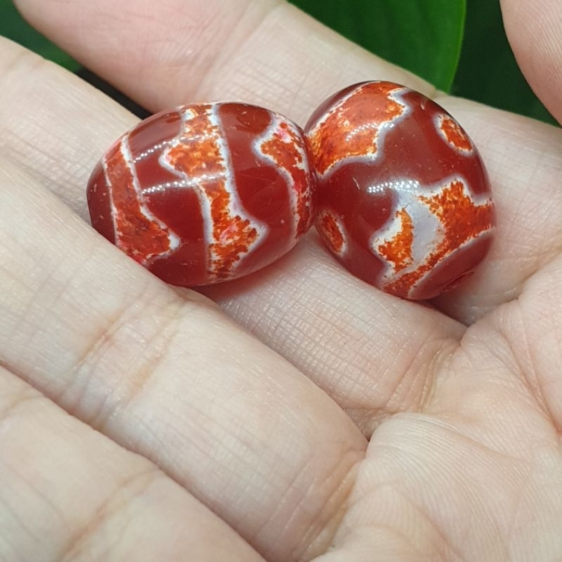 福寶Zi0919天珠藏紅花硃砂供虎牙，壇城三眼天珠19.1×14.5×14.5(兩顆出