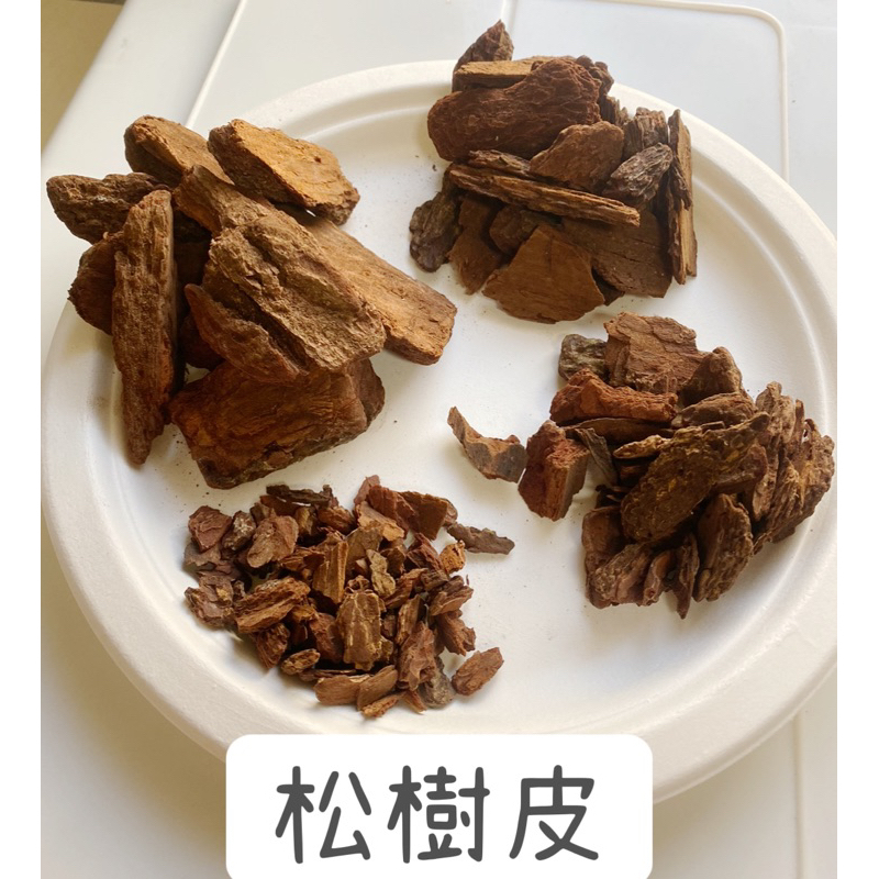 《台灣現貨》松樹皮 1234號 鹿角蕨透氣介質 木塊 | 蝦皮購物