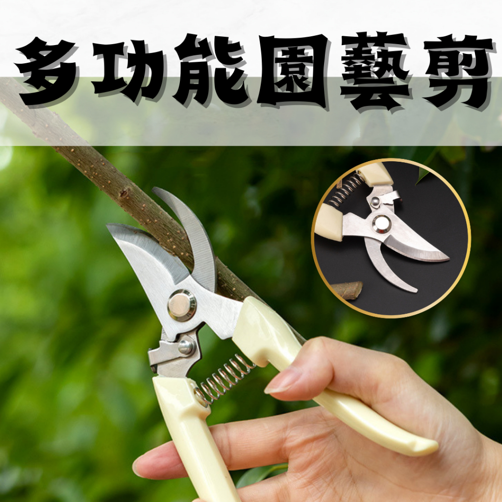 【台灣出貨+免運】園藝剪 多功能樹剪 不鏽鋼 粗枝剪刀 樹枝剪 修枝剪 花剪樹 枝剪 果樹剪 花枝剪刀 剪刀 園藝器具 | 蝦皮購物