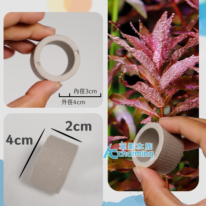 【AC草影】水草定植環【一個】莫斯定植球 DIY動手做 造景裝飾 定植環 盆草種植 水草盆 種水草 綁水草 | 蝦皮購物