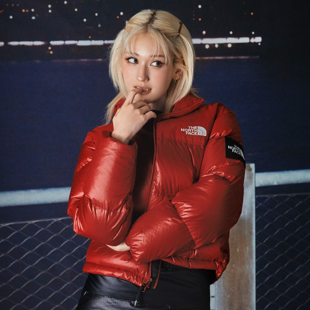 The North Face W'S Novelty Nuptse Down Jacket 羽絨外套女生款女版