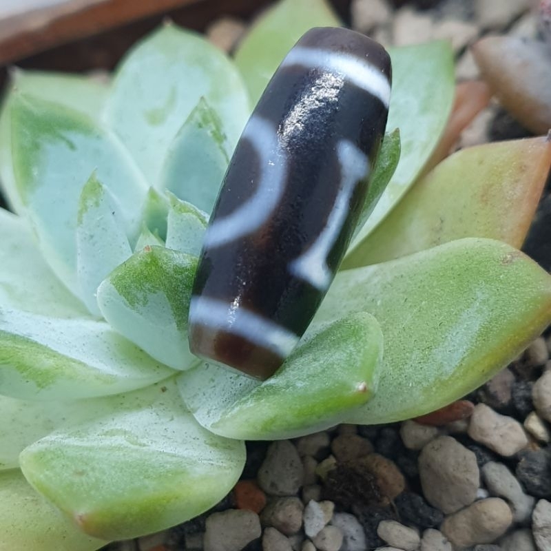 DZ1126A水紋，蓮花。寶瓶，金鋼2眼菩提，如意，虎牙兩眼，天地，特殊3