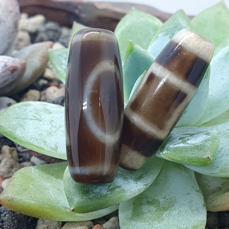Zi1225西藏老天珠天地。折線2眼。水紋三眼。熊貓三眼。虎牙。 | 蝦皮購物