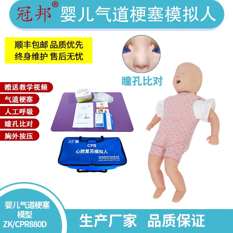 DD010心肺復甦模擬模型 CPR假人安妮 人工呼吸急救CPR模型 半身 全身 CPR練習 心肺復甦練習 急救模型 | 蝦皮購物