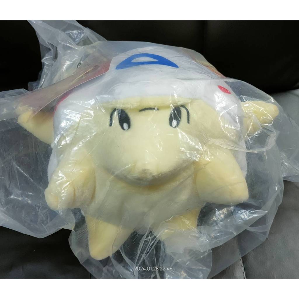 全新現貨 波克比(23公分) 有吊牌 神奇寶貝 寶可夢 pokemon 波克比 寶可夢玩偶 | 蝦皮購物