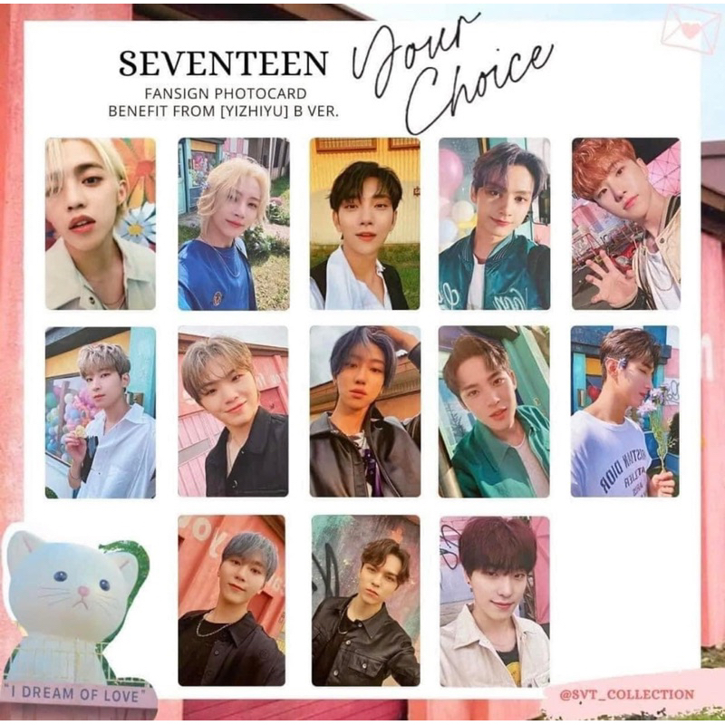 Seventeen 迷八Your Choice 一直娛B 語音特典yzy B 戴花漢拿花圓