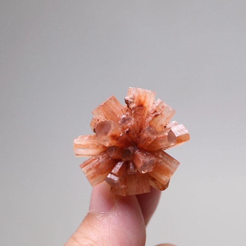 小廢物俱樂部 霞石 摩洛哥礦石晶體 晶體 標本 原石地質 科普教學 標本石頭 奇石擺件 交換禮物 生日禮物 | 蝦皮購物