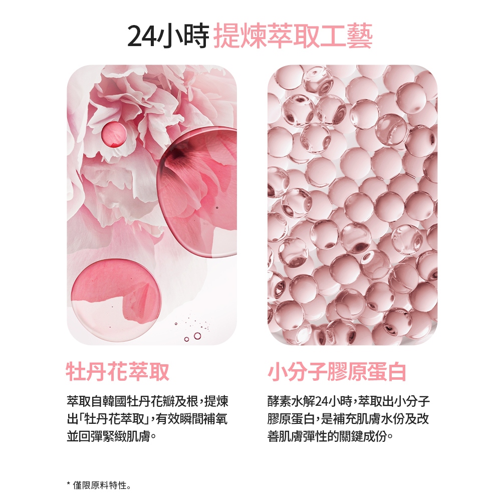 LANEIGE 蘭芝粉澎潤睡美人晚安面膜3ml 柔嫩光滑修護官方旗艦店【完全贈品】 | 蝦皮購物
