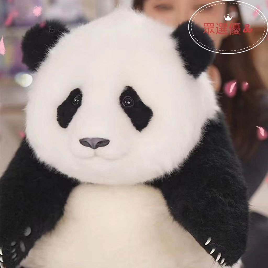 新品 大熊貓 福寶 福豬豬 仿真逼真毛絨玩偶 五月齡福寶玩偶 公仔 超治愈 超可愛 二月齡福豬豬毛絨玩偶 送好友治愈禮物 | 蝦皮購物