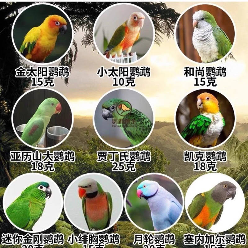 鸚鵡熟化無殼飼料》75元/斤，熟化無殼營養飼料。適合：小太陽、和尚
