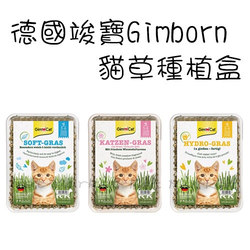 德國 竣寶 Gimborn - 貓草種植盒 | 蝦皮購物