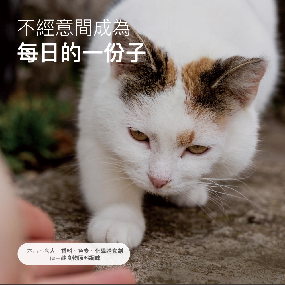 Product image 【木入森】貓咪護疫升 (60顆)｜貓咪免疫力保健食品｜離胺酸 牛磺酸 蝦紅素｜適合老貓 挑食貓 9