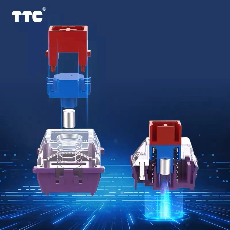 TTC 萬磁王軸磁軸（非磁玉軸磁白軸| 蝦皮購物