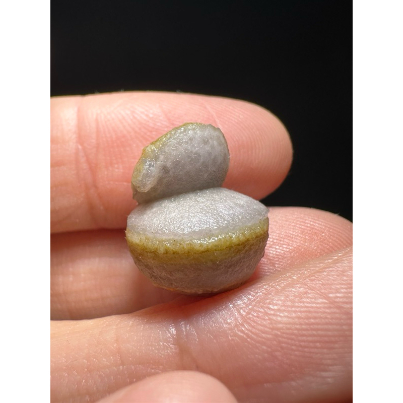 阿拉善。蒙古。戈壁石。戈壁瑪瑙。眼睛石花眼瑪瑙。糖心瑪瑙。筋