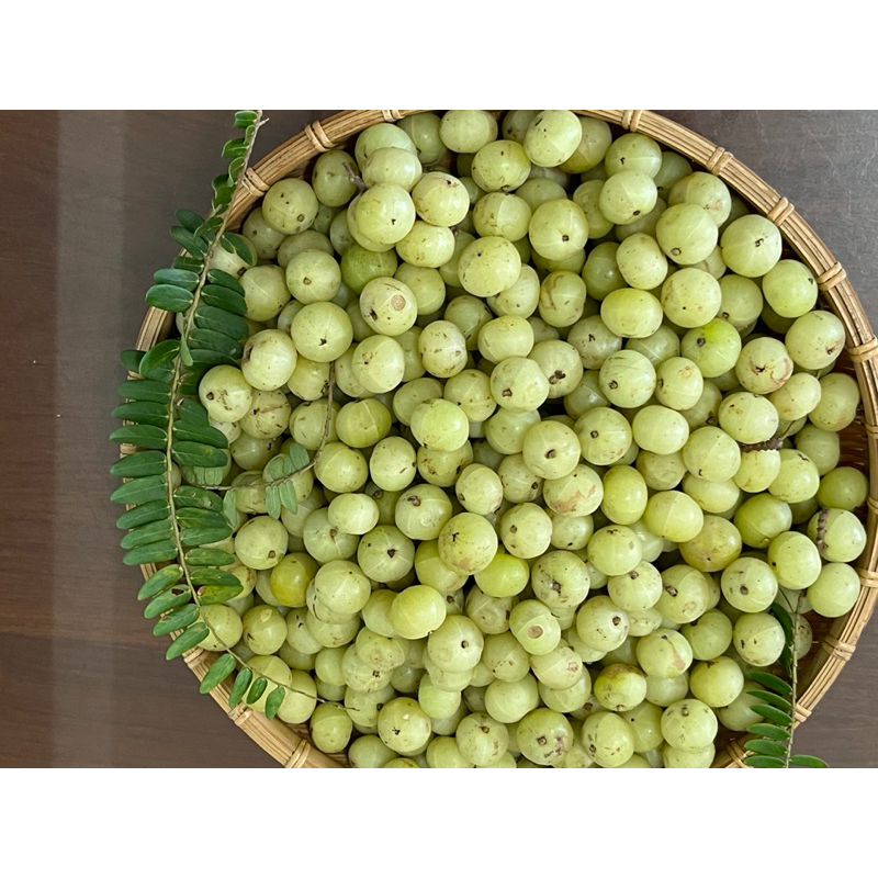 油柑 余甘子 油柑果 | 蝦皮購物