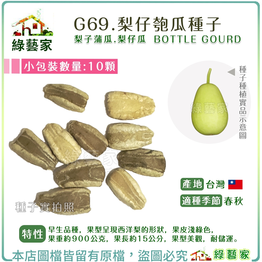 【綠藝家】G69.梨仔匏瓜種子10顆(梨子蒲瓜.梨仔瓜) 早生品種 果型呈現西洋梨的形狀 果皮淺綠色 匏瓜種子 蔬菜種子 | 蝦皮購物