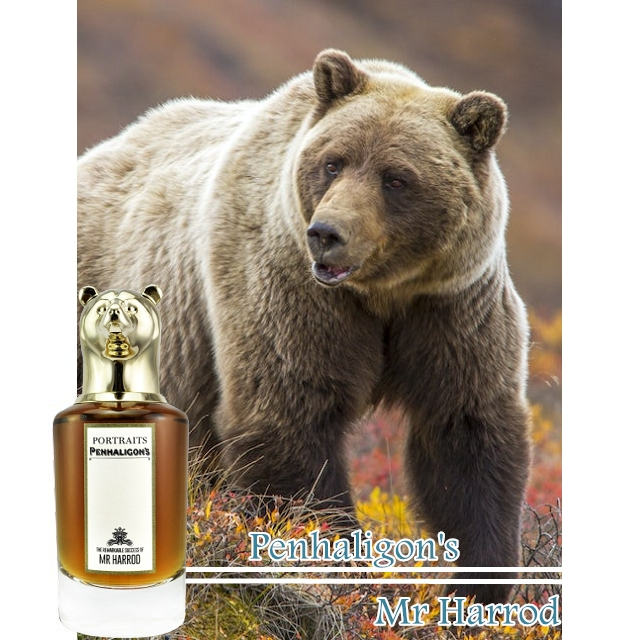 熊獸首Penhaligon's Mr Harrod 英國哈洛德百貨限定| 蝦皮購物