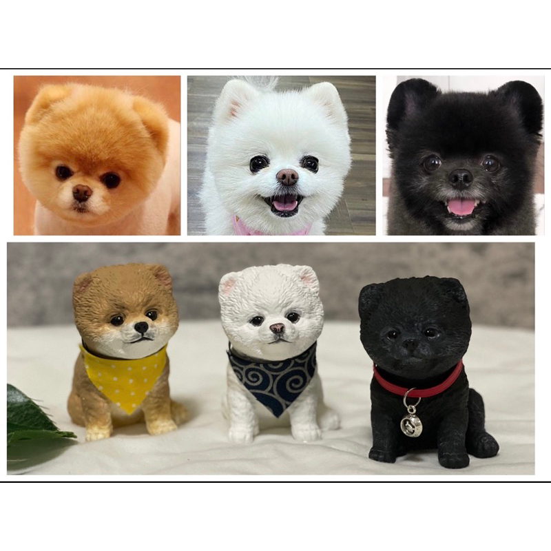 博美犬/俊介博美/松鼠博美/博美/博美狗/白博美/奶油博美/黑博美/立體擴香石擺件 | 蝦皮購物