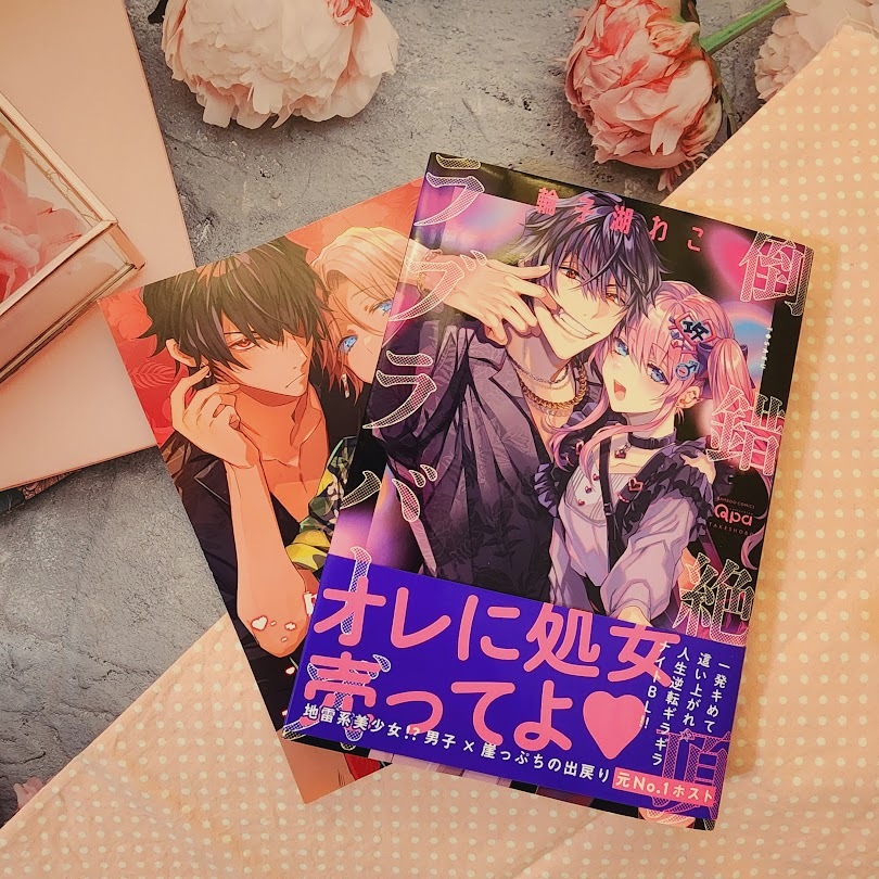 【竹書房】倒錯絶頂ラブラバーズ 輪子湖わこ 附安利美特特典 日版 二手 BL漫畫 | 蝦皮購物