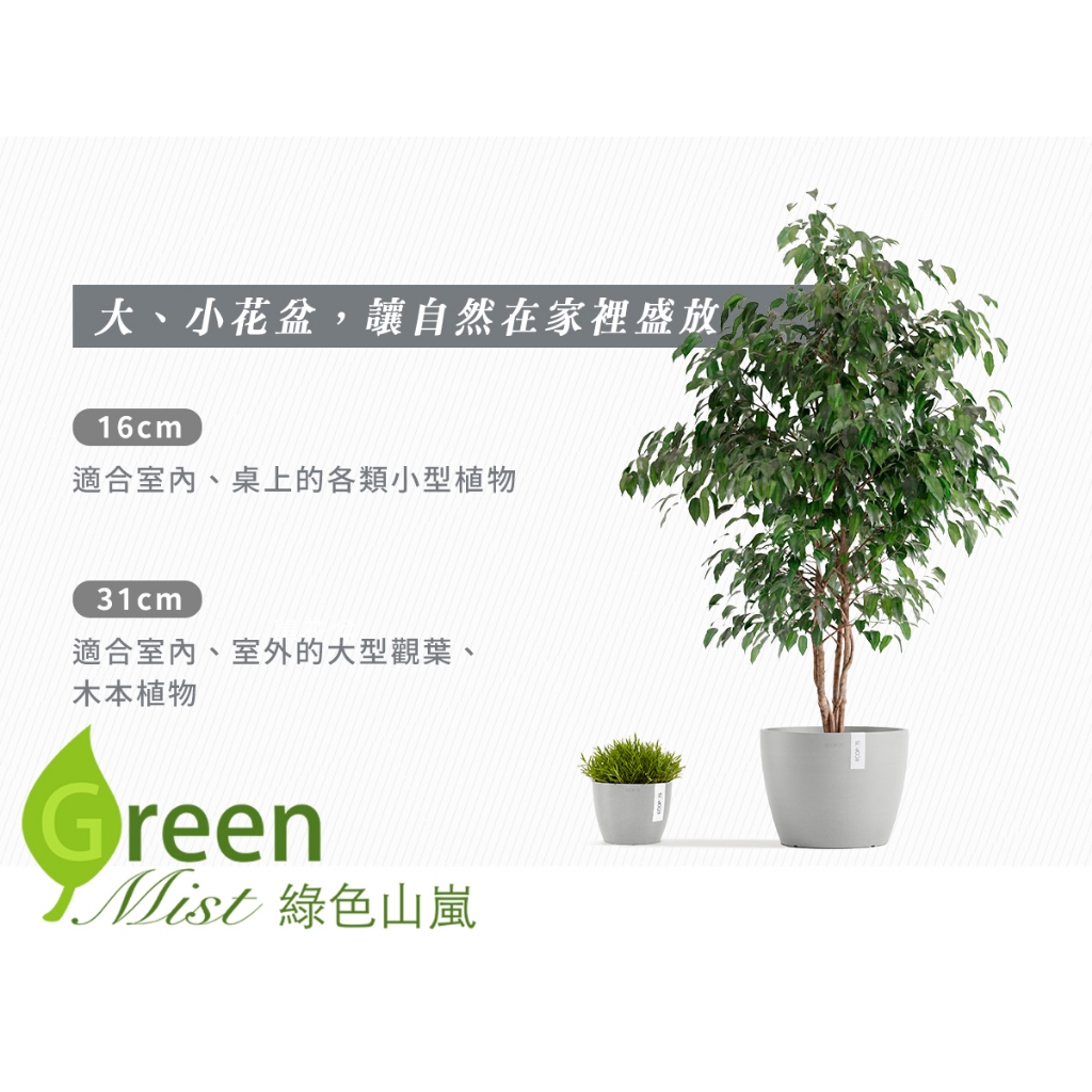 斯德哥爾摩矮圓盆Ecopots Stockholm 歐洲花盆塑膠盆環保花盆套盆有孔【綠色山嵐】 | 蝦皮購物