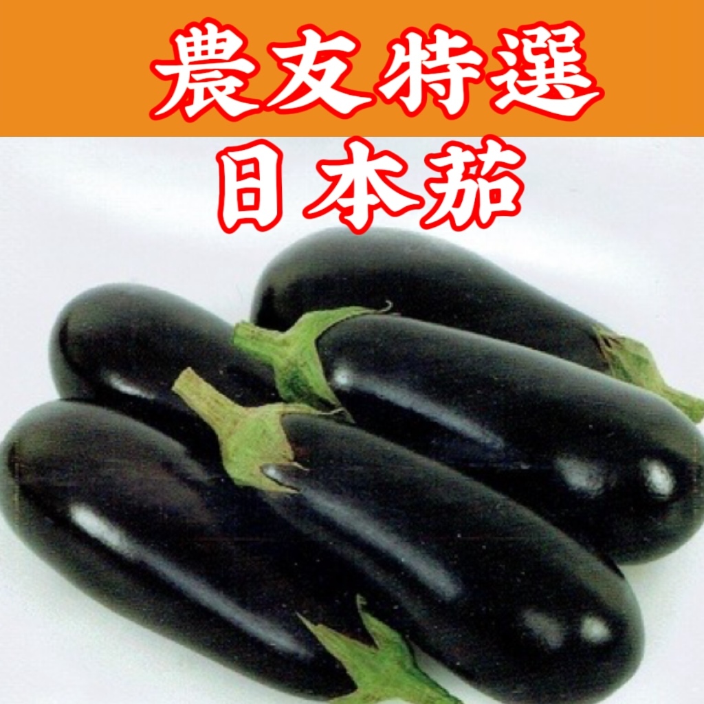現貨】 日本茄Eggplant (sv-395) 茄子種子【蔬果種子】農友種苗特選