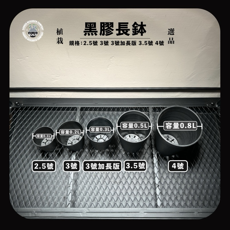 中国 存星 花草彫 煎茶盆 香盆 輪花盆 N 8081A （中國記憶- 淘寶