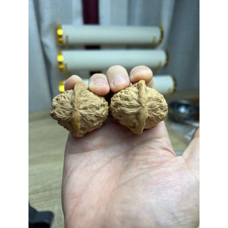 台灣現貨］文玩核桃南瓜墩大尺寸微修找型| 蝦皮購物