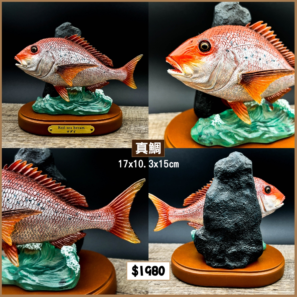 魚模型16~17cm 擬真魚類模型金目鱸黑鯛真鯛石雕香魚軟絲| 蝦皮購物