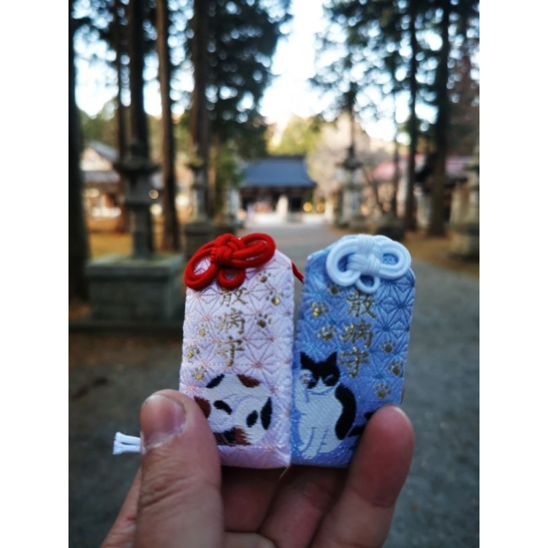 2507追加 散病守 富士御室淺間神社 難得追加 平等寺 相似 貓守 日本神社 御守 | 蝦皮購物