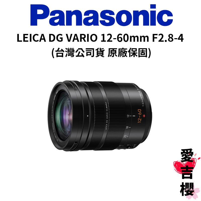 PANASONIC LEICA 50-200 Mm F:2,8-4 DG Vario-Elmarit OIS - View #10