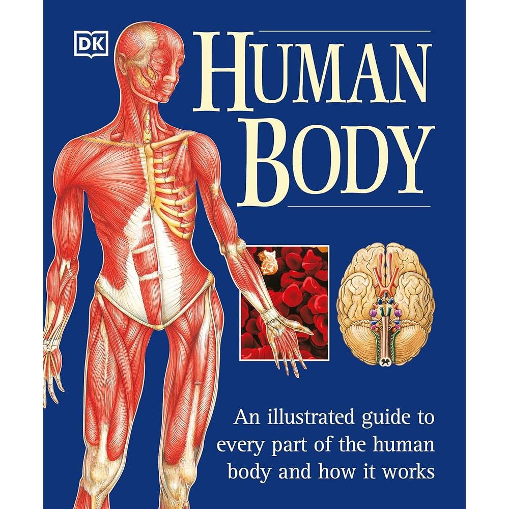 The Human BodyThe Human Body 人體百科 超過700張彩色照片及插圖 | 蝦皮購物