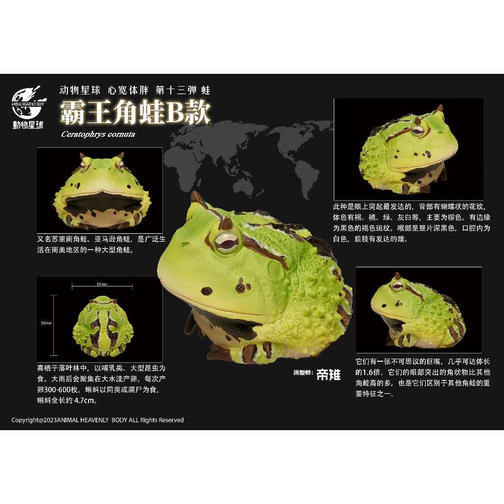 超能力蛙 SKECHERS美國唯一官方授權台灣官網