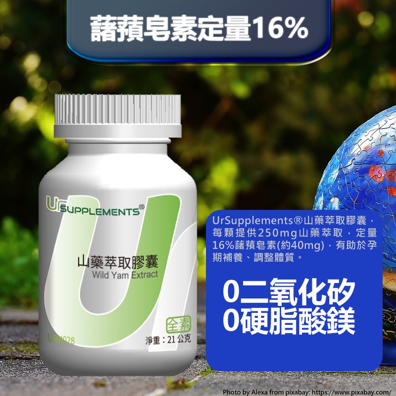 Wild Yam Root 藷蕷山藥 薯蕷皂素 天然DHEA SWANSON/UrSupplements能量補給站 蝦皮購物