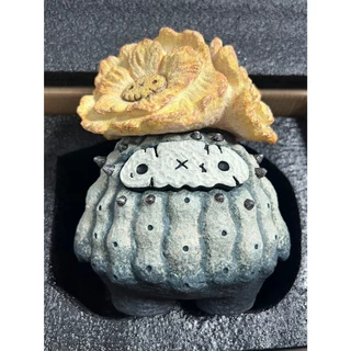 COPIAPOA MONSTER　限定flower.ver 羅本製所 COPIAPOA MONSTER 限定flower.ver 羅本製所 - メルカリ