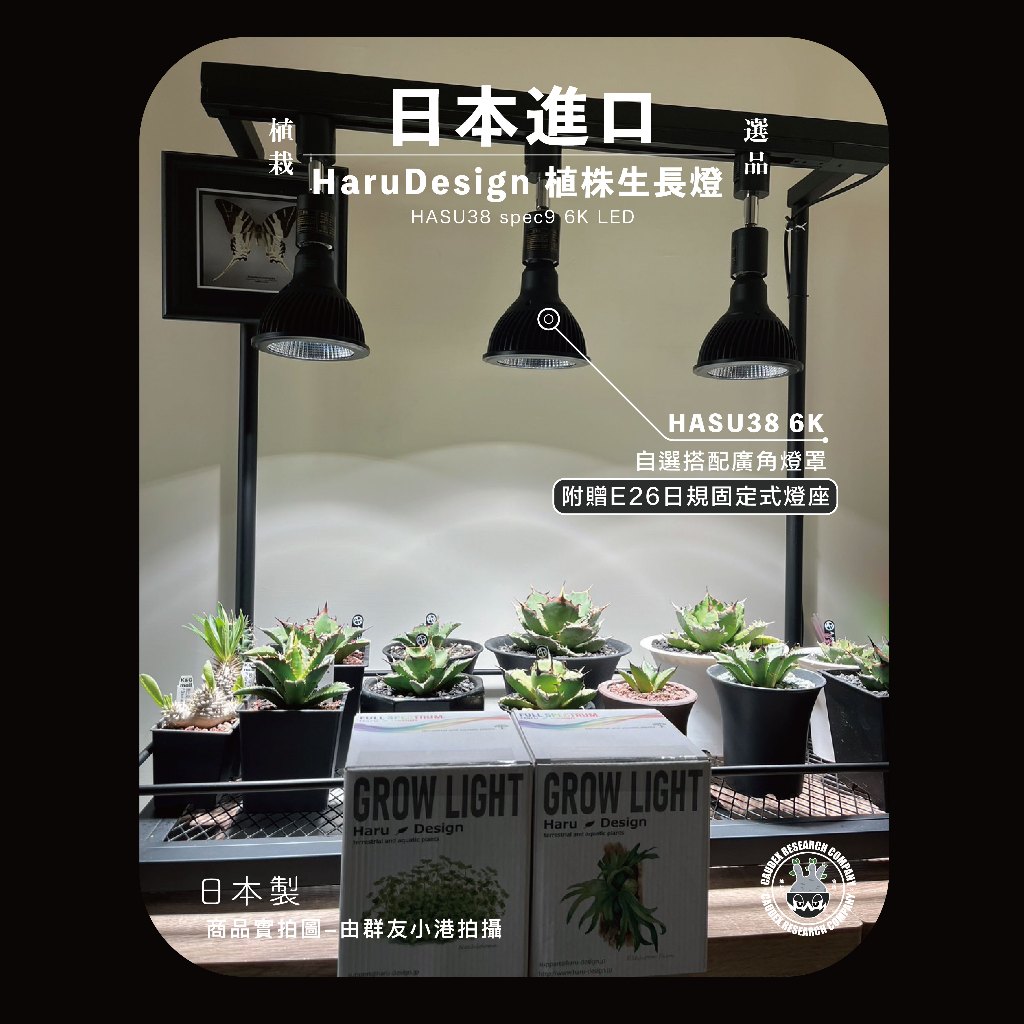 HaruDesign 植物育成ライト HASU38 6K 白色　3個セット HaruDesign 植物育成LEDライト HASU38 spec9 6K 白色系 スワール