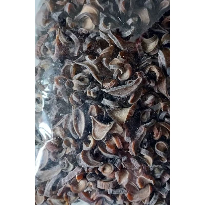 素食高營養價值聖品-海茸（海龍頭） | 蝦皮購物