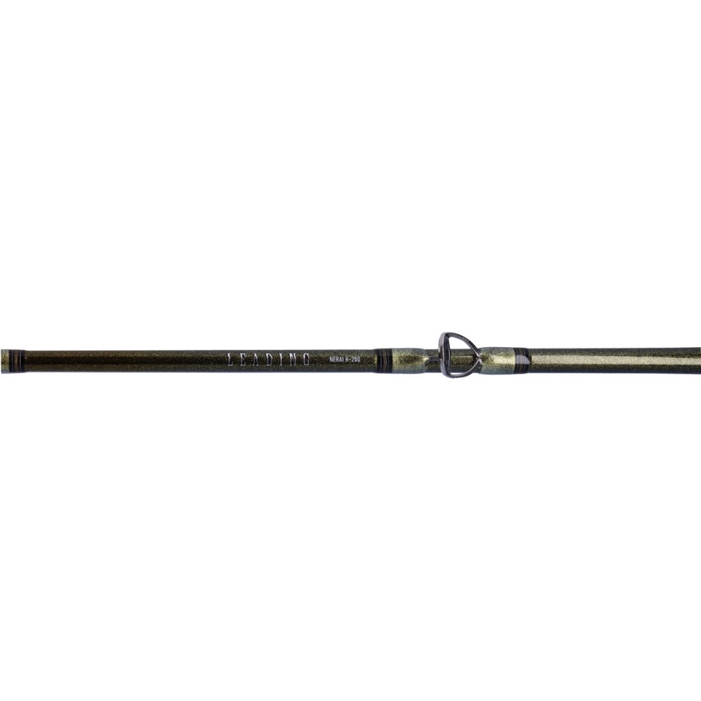 DAIWA LEADING NERAI 船釣竿/ 船竿H-200 / HH-200 | 蝦皮購物