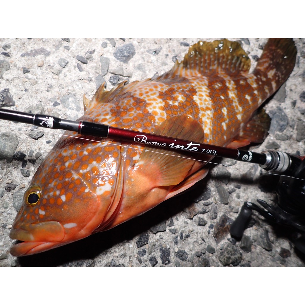 Beams inte 7.9UL - JDM Fishing