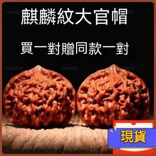 大粗筋核桃(サイズ49） クルミ 文玩